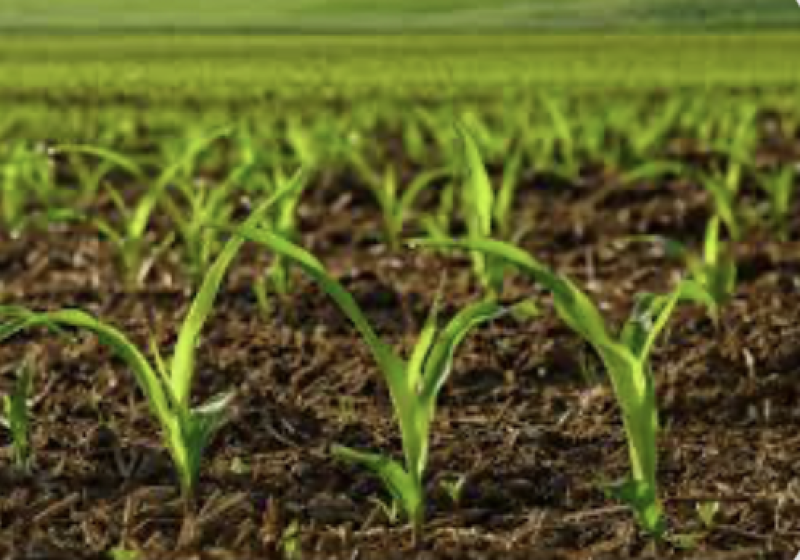 HTML5 Bootstrap Template by prabesh.com